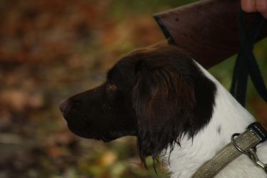 IMG_0038